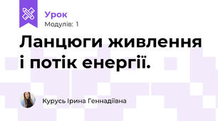 Ланцюги живлення і потік енергії.