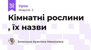 Кімнатні рослини , їх назви
