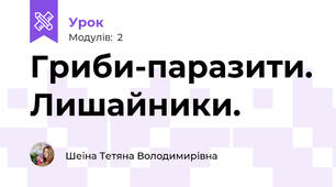 Гриби-паразити. Лишайники.