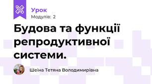 Будова та функції  репродуктивної системи. 
