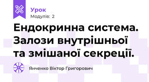 Ендокринна система. Залози внутрішньої та змішаної секреції.