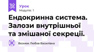 Ендокринна система. Залози внутрішньої та змішаної секреції.