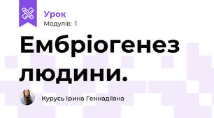 Ембріогенез людини.
