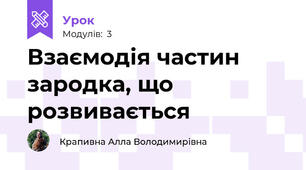 Взаємодія частин зародка, що розвивається 