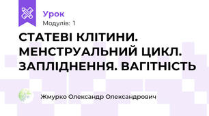СТАТЕВІ КЛІТИНИ. МЕНСТРУАЛЬНИЙ ЦИКЛ. ЗАПЛІДНЕННЯ. ВАГІТНІСТЬ
