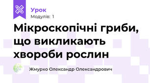 Мікроскопічні гриби, що викликають хвороби рослин
