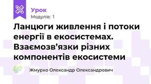 Ланцюги живлення і потоки енергії в екосистемах. Взаємозв’язки різних компонентів екосистеми