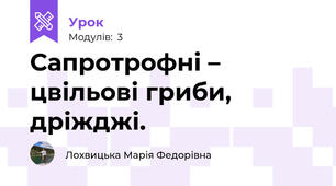 Сапротрофні – цвільові гриби, дріжджі. 