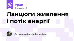Ланцюги живлення і потік енергії