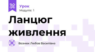 Ланцюг живлення