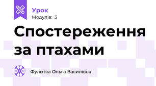 Спостереження за птахами