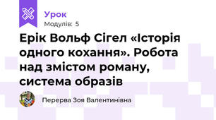 Ерік Вольф Сігел «Історія одного кохання». Робота над змістом роману, система образів