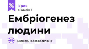 Ембріогенез людини