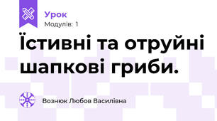 Їстивні та отруйні шапкові гриби.