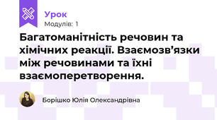 Багатоманітність речовин та хімічних реакції. Взаємозв’язки між речовинами та їхні взаємоперетворення.