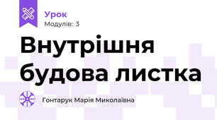 Внутрішня будова листка