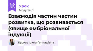Взаємодія частин частин розвитка, що розвивається (явище ембріональної індукції)