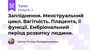 Запліднення. Менструальний цикл. Вагітність. Плацента, її функції. Ембріональний період розвитку людини.