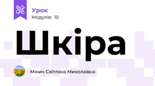 Шкіра