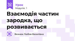 Взаємодія частин зародка, що розвивається