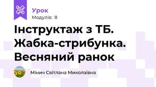 Інструктаж з ТБ. Жабка-стрибунка. Весняний ранок