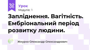 Запліднення. Вагітність. Ембріональний період розвитку людини.