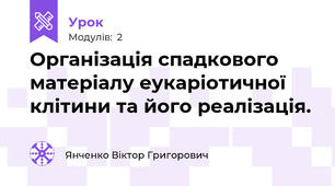 Організація спадкового матеріалу еукаріотичної клітини та його реалізація.