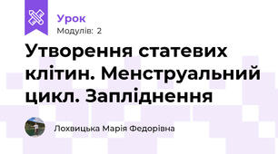 Утворення статевих клітин. Менструальний цикл. Запліднення