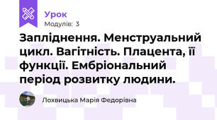 Запліднення. Менструальний цикл. Вагітність. Плацента, її функції. Ембріональний період розвитку людини.