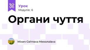 Органи чуття
