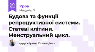 Будова та функції репродуктивної системи. Статеві клітини. Менструальний цикл.