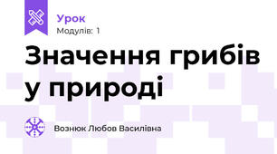 Значення грибів у природі