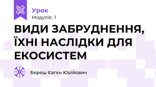 ВИДИ ЗАБРУДНЕННЯ, ЇХНІ НАСЛІДКИ ДЛЯ ЕКОСИСТЕМ