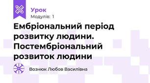 Ембріональний період розвитку людини. Постембріональний розвиток людини