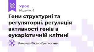 Гени структурні та регуляторні. регуляція активності генів в еукаріотичній клітині