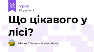 Що цікавого у лісі? 