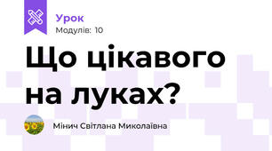 Що цікавого на луках?