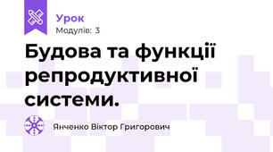 Будова та функції репродуктивної системи.