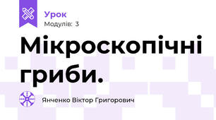 Мікроскопічні гриби.
