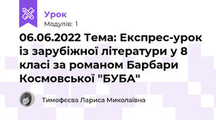 06.06.2022 Тема: Експрес-урок із зарубіжної літератури у 8 класі за романом Барбари Космовської "БУБА"