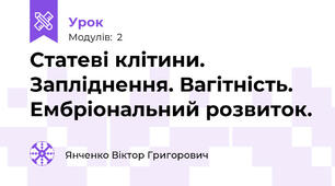 Статеві клітини. Запліднення. Вагітність. Ембріональний розвиток.