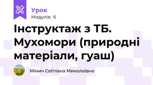 Інструктаж з ТБ. Мухомори (природні матеріали, гуаш)