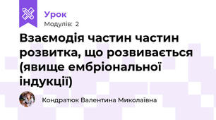 Взаємодія частин частин розвитка, що розвивається (явище ембріональної індукції)