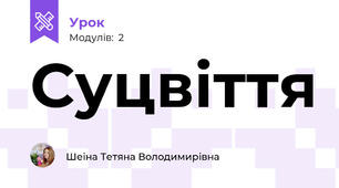 Суцвіття