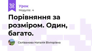 Порівняння за розміром. Один, багато.