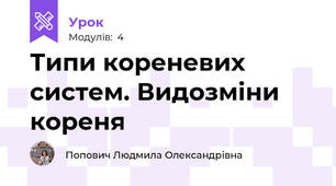 Типи кореневих систем. Видозміни кореня