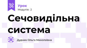 Сечовидільна система