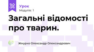 Загальні відомості про тварин.
