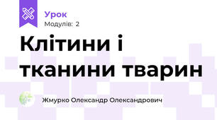 Клітини і тканини тварин