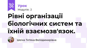 Рівні організації біологічних систем та їхній взаємозв'язок.